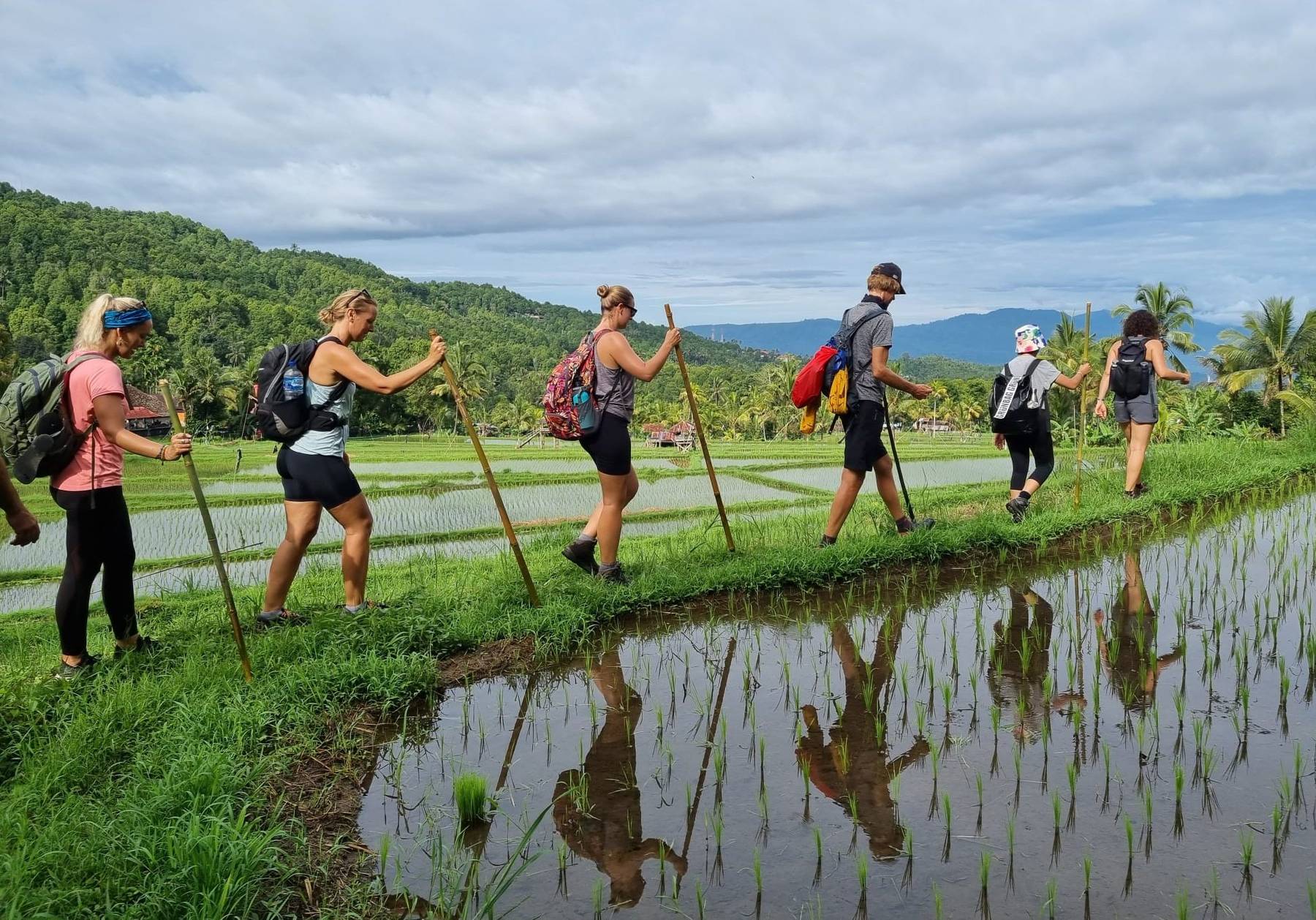 Pilgrims with bamboo staffs crossing a rice field bund, reflected in the flooded paddy