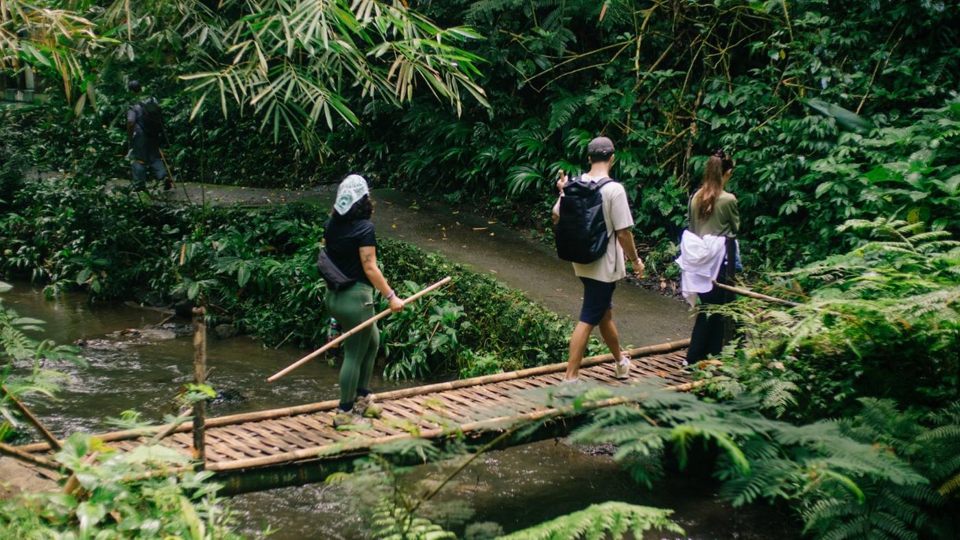 Pilgrims crossing a bamboo bridge over a forest stream
