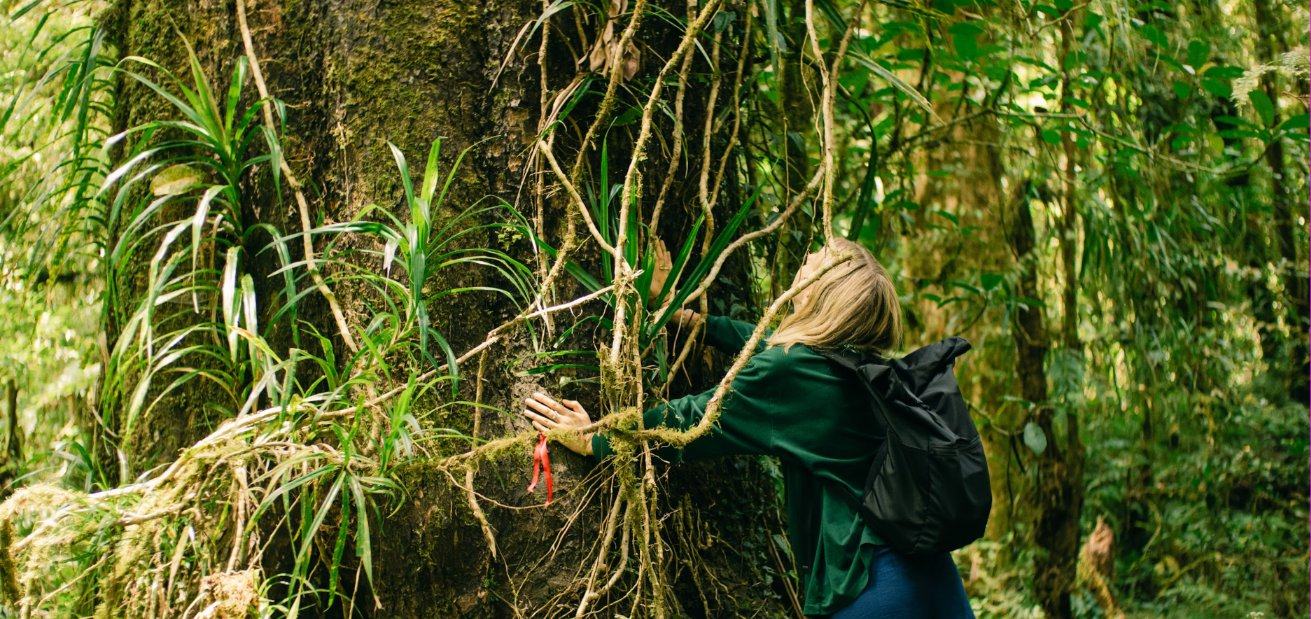 A pilgrim reaching into the green of the forest on the trail