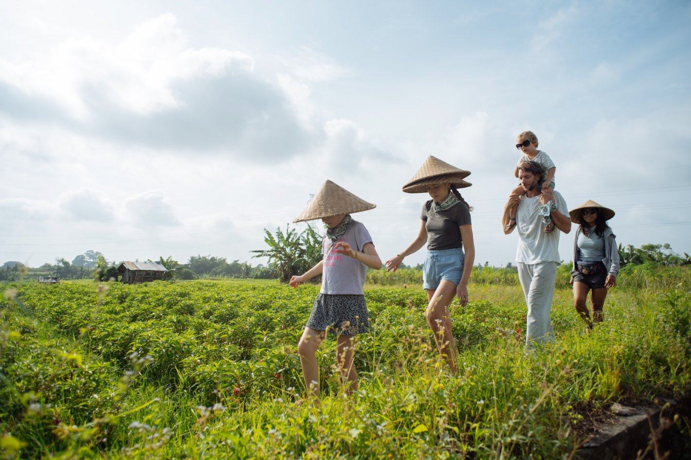 A family in woven hats walking through the fields