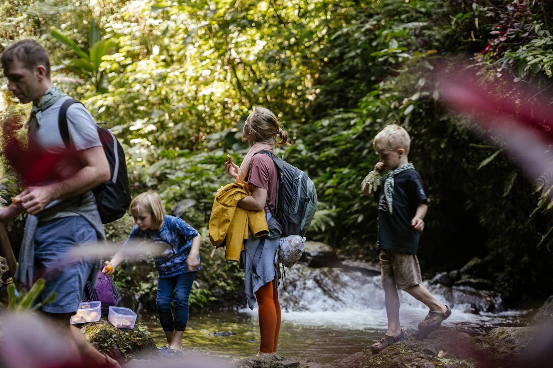 A family with two young children resting beside a forest stream