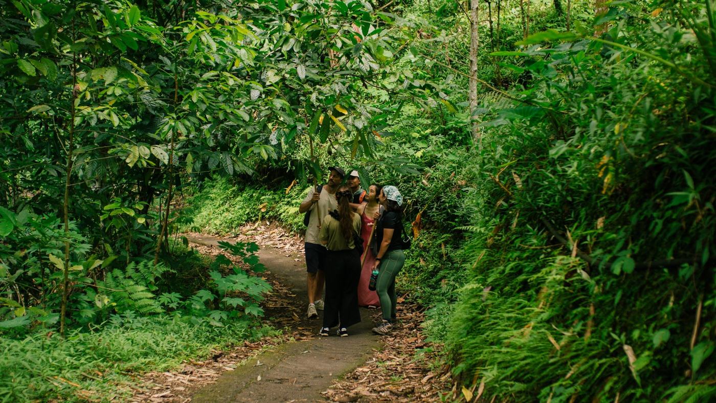 A farmer showing pilgrims the cacao trees in his forest garden