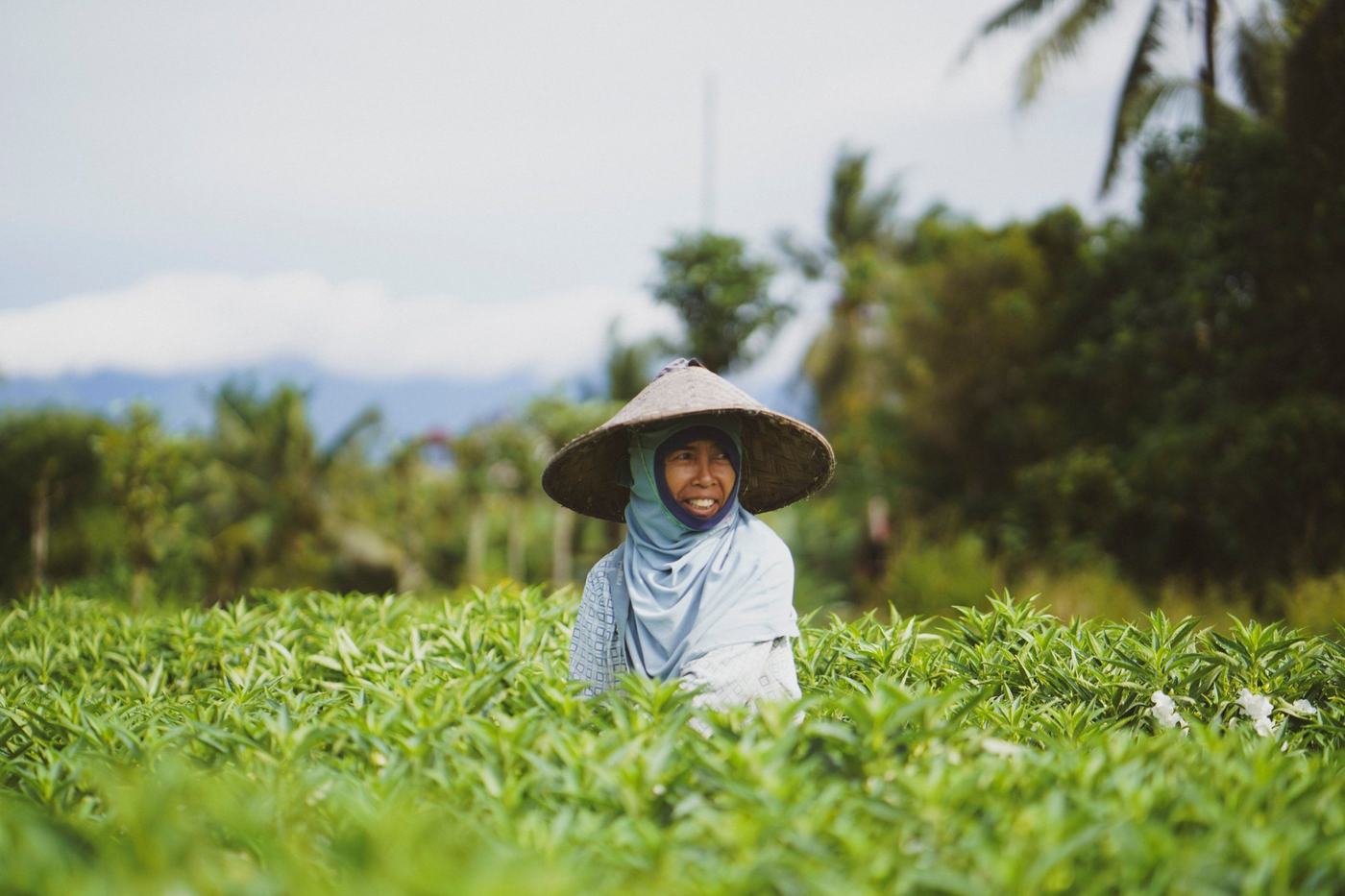 A farmer in her rice field