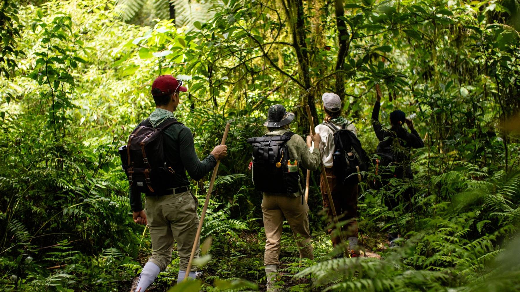 Pilgrims following a guide through dense forest