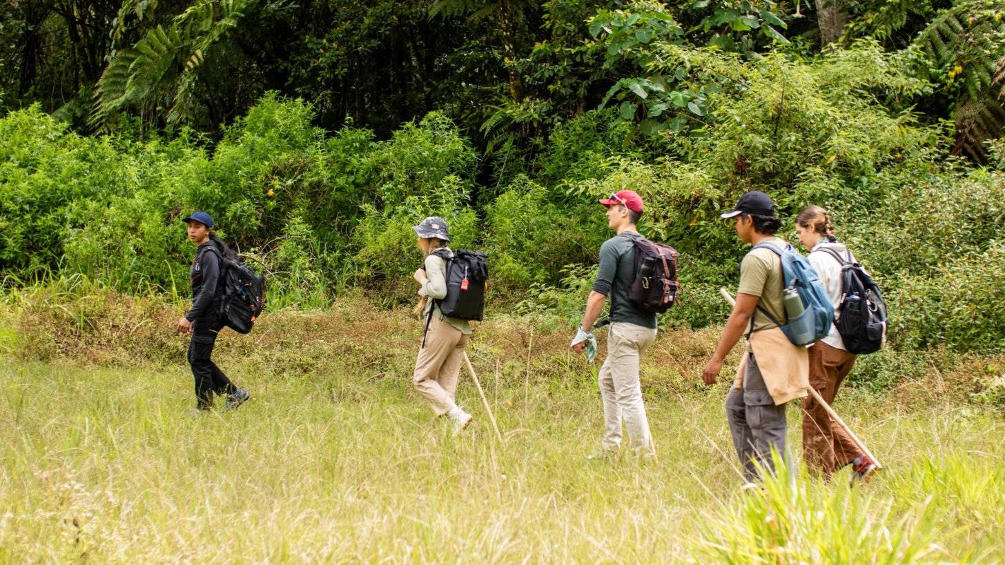 Pilgrims and their guide crossing a forest meadow