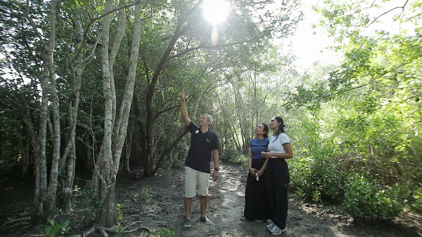 A guide showing two pilgrims the trees of the coastal forest