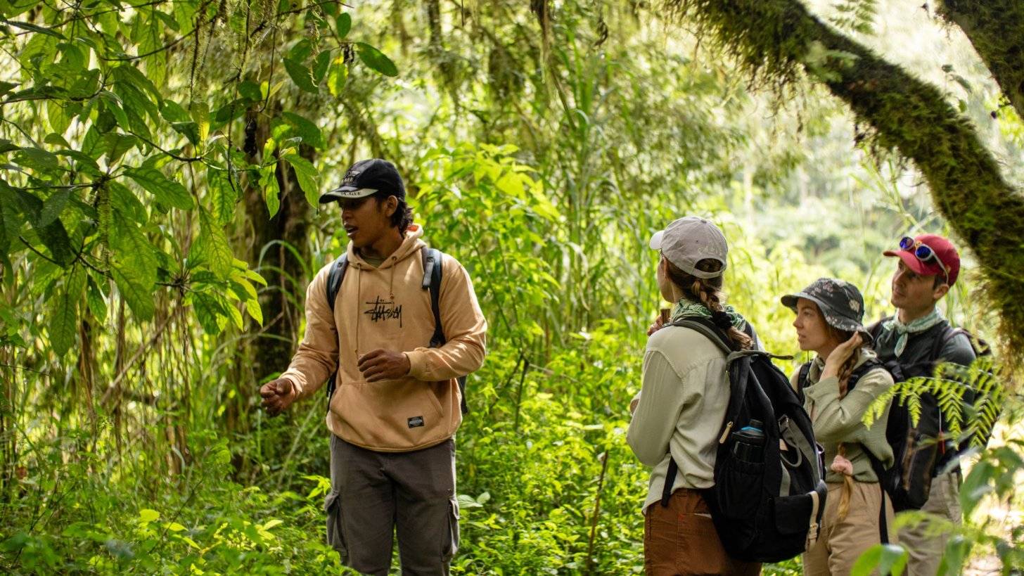 One of our guides explaining the forest to a group of pilgrims