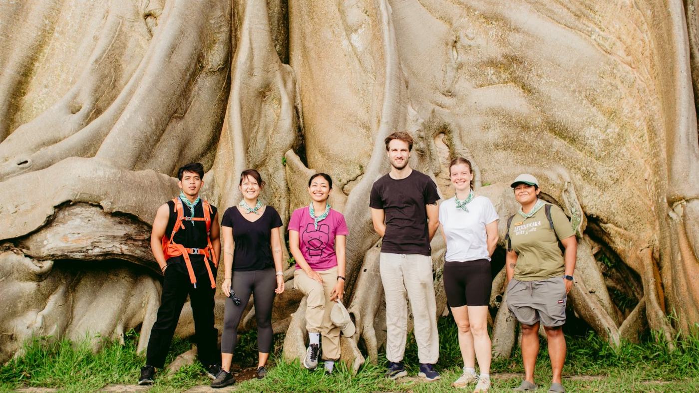 Pilgrims and their guides at the foot of a giant kayu putih tree