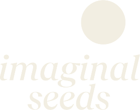 Imaginal Seeds