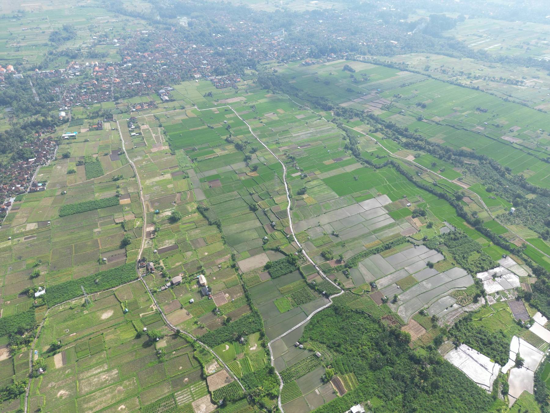 A patchwork of rice fields in Bali seen from high above