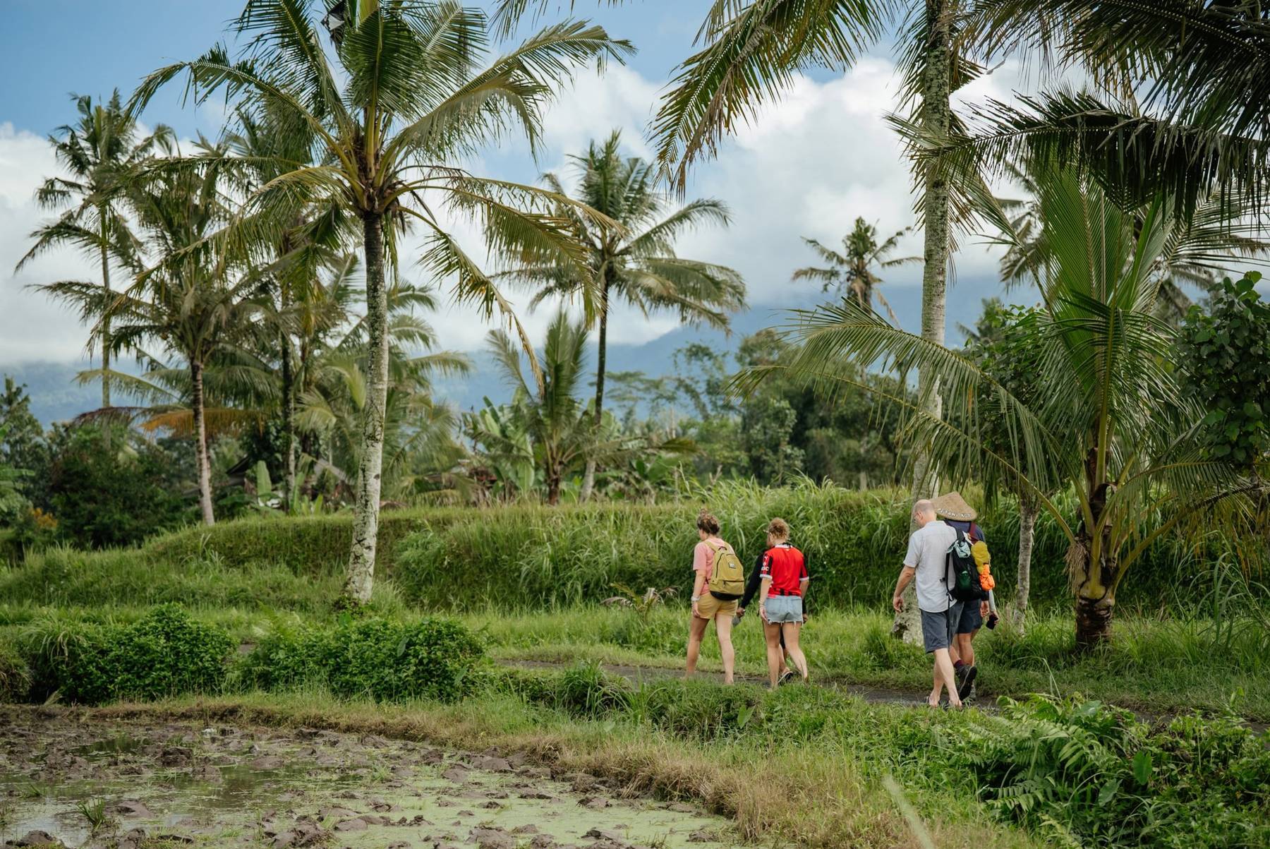 Pilgrims on a path between rice fields and coconut palms