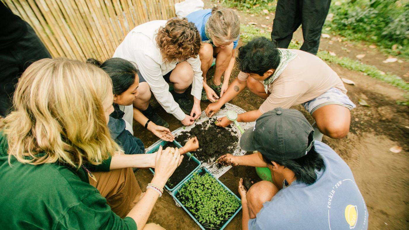 Pilgrims and farmers crouched together, potting seedlings in fresh compost