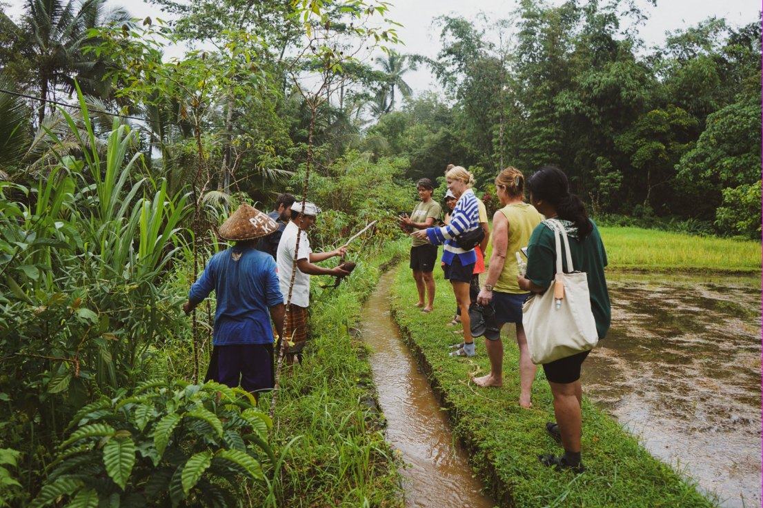 Pilgrims following their guide along a canal between the rice fields