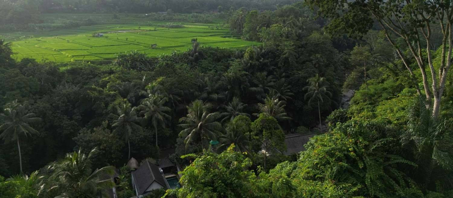 Rice terraces and forest around a resort in the Ayung valley, seen from above