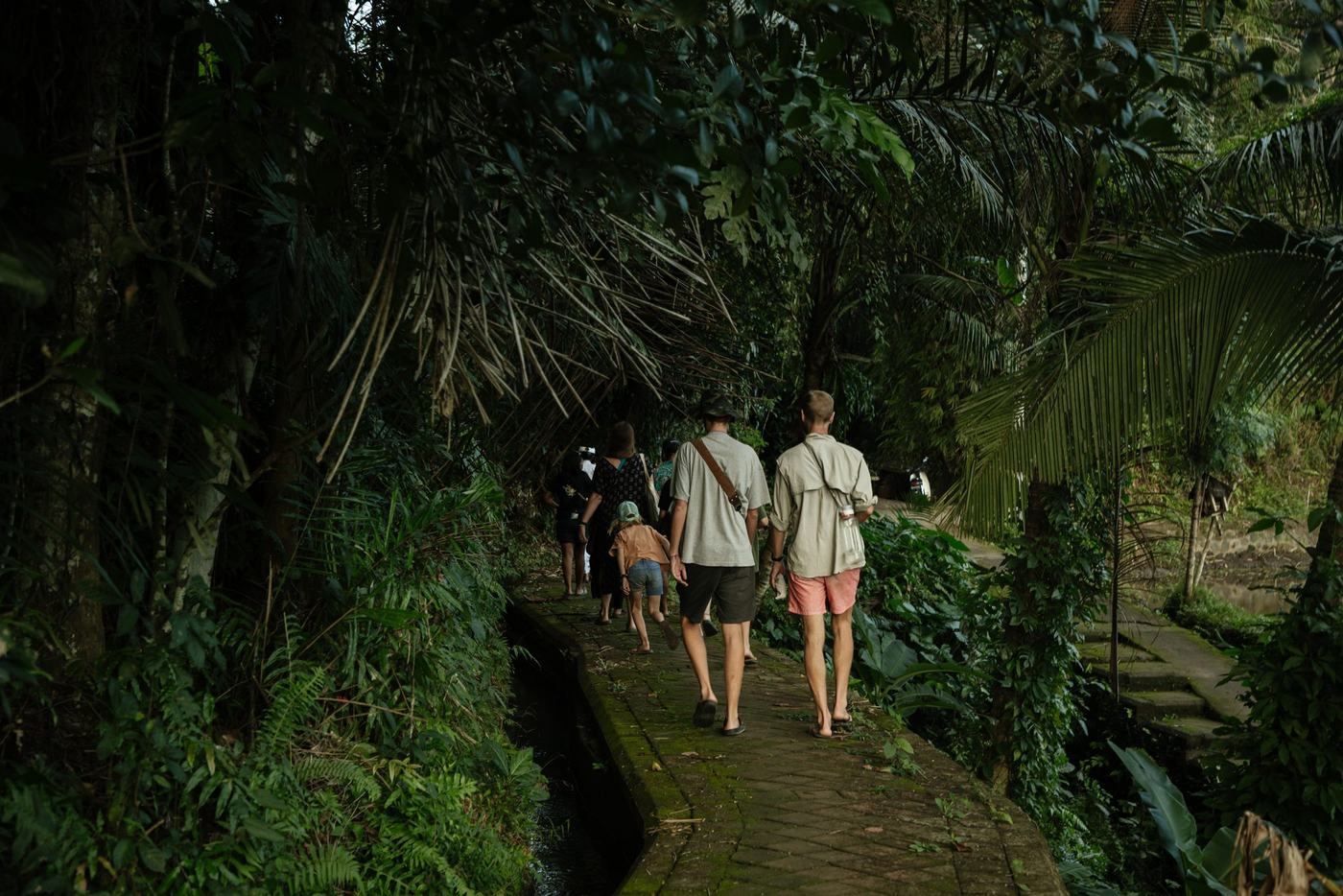 Pilgrims on a shaded jungle path