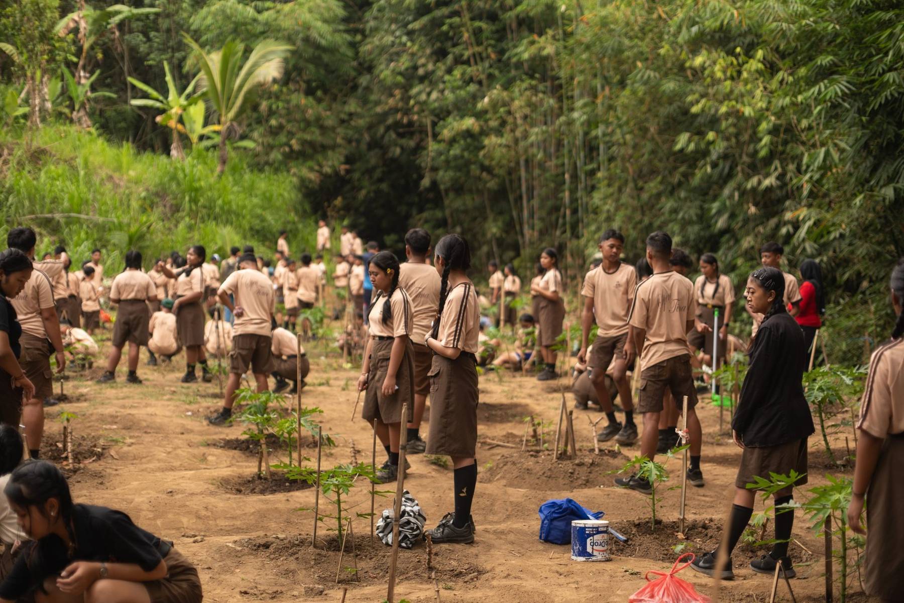 Students in scout uniform planting papaya seedlings in the school garden