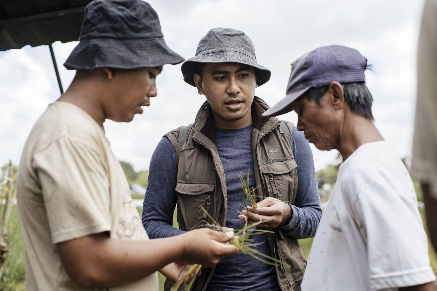 Our team and farmers inspecting plants in the field