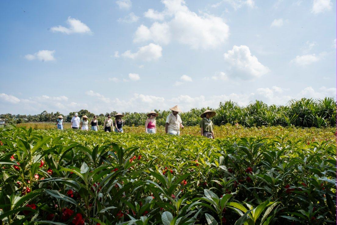 A farm tour group walking through the flowering border plants