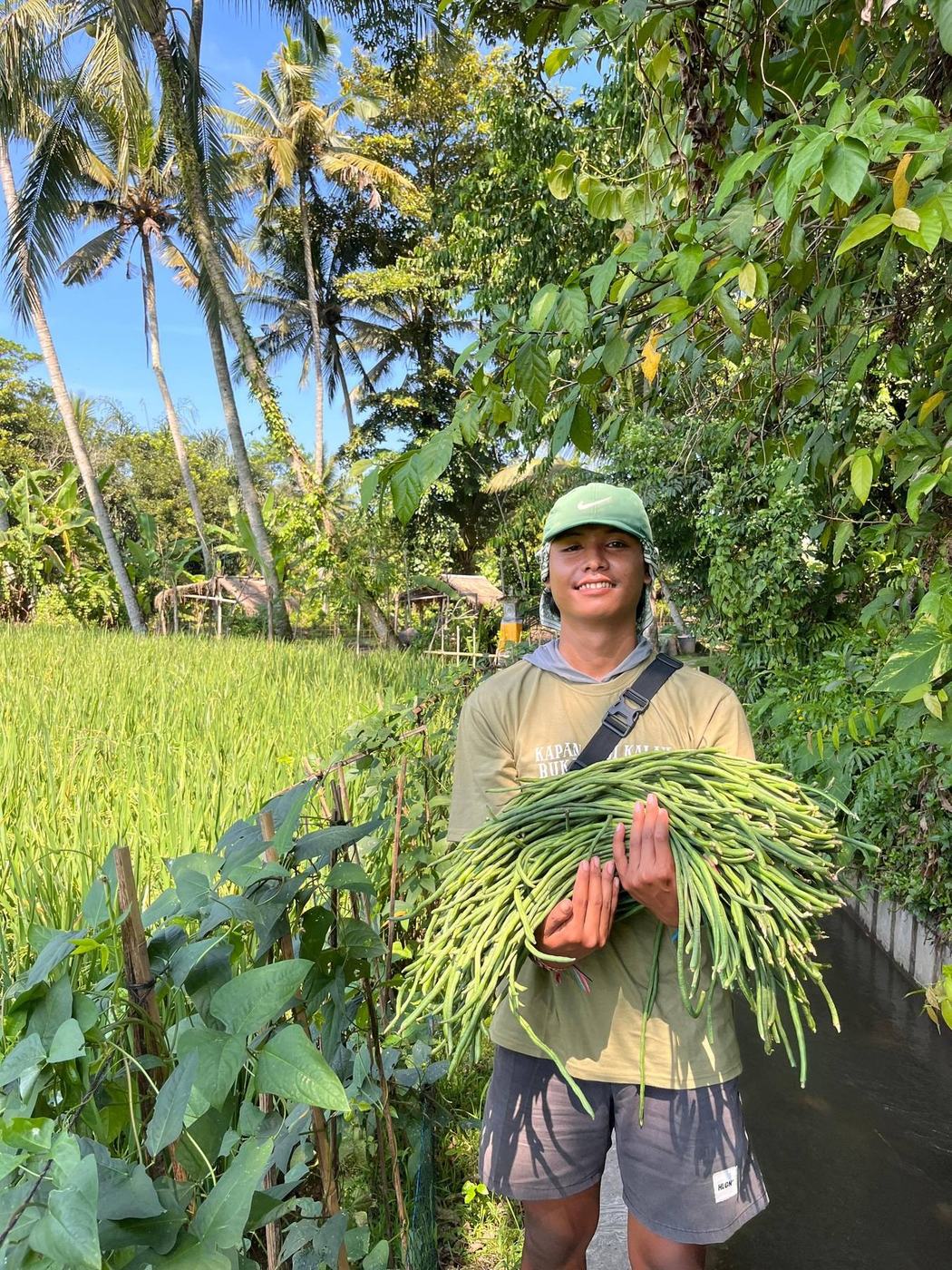 A farmer holding freshly harvested greens